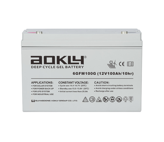 AOKLY UPS 6-GFM-100G