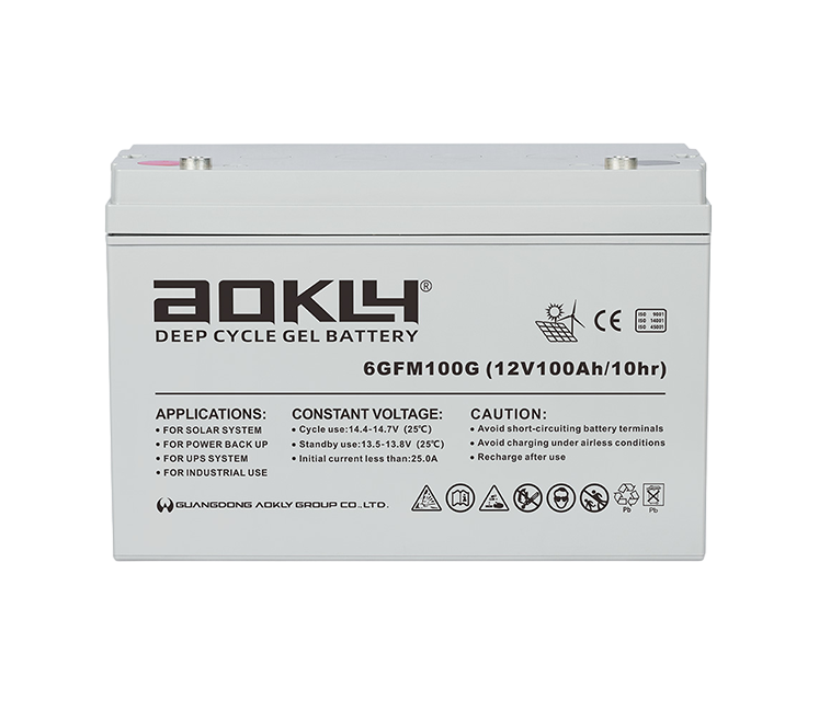 AOKLY UPS 6-GFM-100G