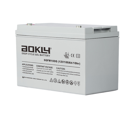 Batería Aokly UPS 6-GFM-100G - foto 2