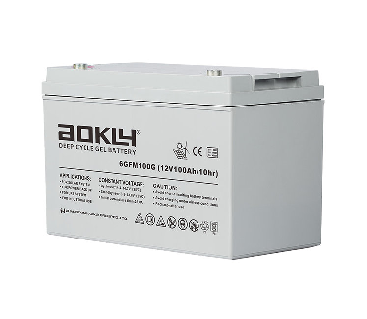 AOKLY UPS 6-GFM-100G - Image 2