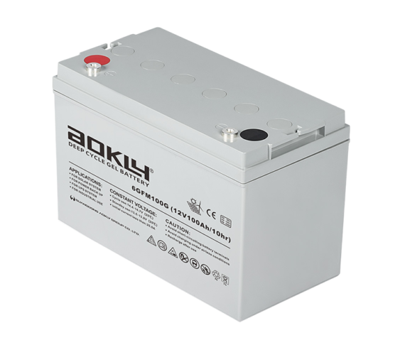 Batería Aokly UPS 6-GFM-100G - foto 4