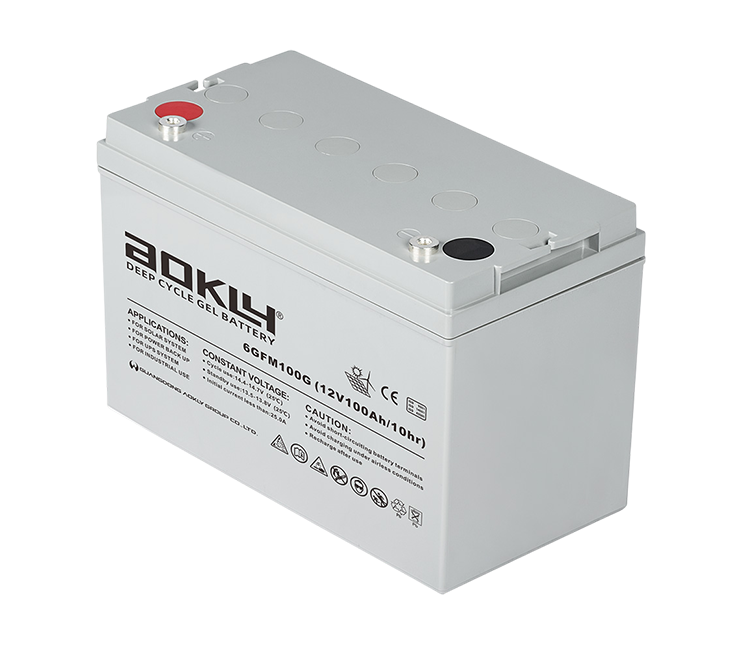 AOKLY UPS 6-GFM-100G - Image 4