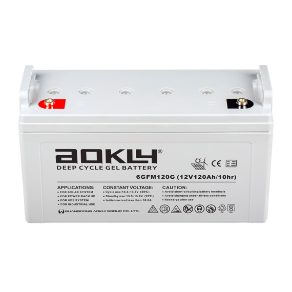 Batería Aokly UPS 6-GFM-120G - foto 3