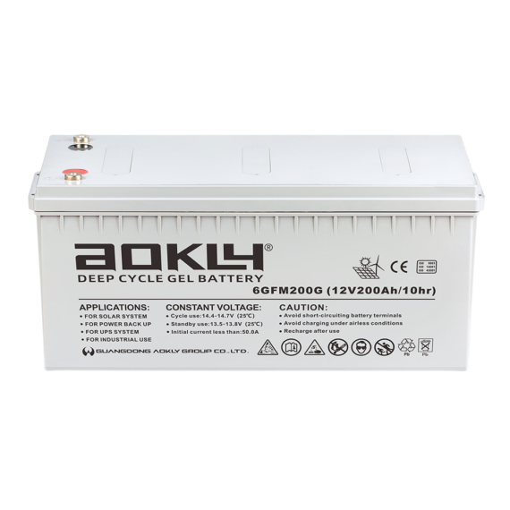 Batería Aokly UPS 6-GFM-200G - foto 3