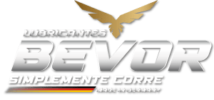 Lubricantes BEVOR