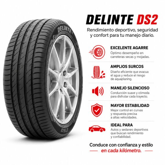 LLANTA DELINTE 165/65 R13 DS2 - foto 6